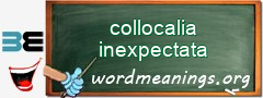 WordMeaning blackboard for collocalia inexpectata